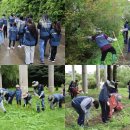 주식회사 컴투스로카 이미지