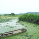 세모와네모 이미지