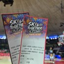 낙현 | [25-26 직관] 26.4.4. 서울 sk나이츠 VS 대구 한국가스공사