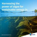 미래혁신지구 이미지