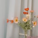 제이블리(J vely) 이미지