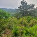 회성동267 이미지