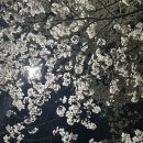 승월마을회관 이미지