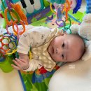 시전농장 이미지