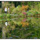 지베르니 이미지