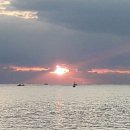 해돋이목장 이미지