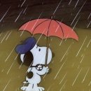 해법학원 이미지