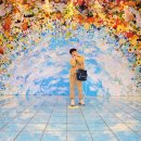 유적지로 만나는 한국사 이미지