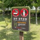 광양 애견동반 산책코스｜광양 마동저수지 생태공원｜광양 가볼만한 곳｜광양 5월 장미 공원