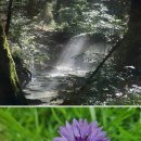 공주펜션심평재 이미지