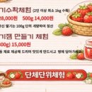 햇살농원 애견 네이버블로그