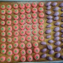 동광초교 병설유치원 이미지