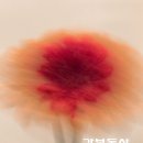 갑부부동산공인중개사사무소 이미지