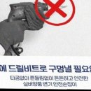 실버양품 이미지