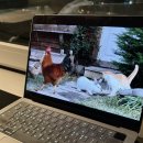 승완농장 이미지