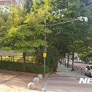 수내중학교 앞 이미지