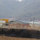 기동축산 철원인터넷뉴스