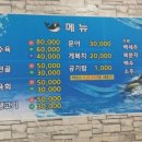 영일만밍크고래 네이버블로그