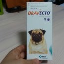 (주)도담약품 이미지