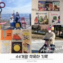 [엄마표 영어 북트리(30)] 44개월 책육아 | I am bat (Morang Hood), 펀투리드, 100층짜리 집, 춤추는...