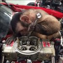 몽키스패너 이미지