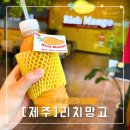 [제주 카페] 무지개 해안도로가 있는 ‘리치 망고 도두해안로점’