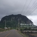 더블루웨이브 네이버블로그