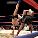 펫슈퍼24 이미지