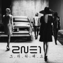 노래짱콘서트 이미지