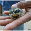 춘양파출소 이미지