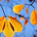 좋고좋다 이미지