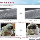 강아지분양애견말티즈푸들포메고양이분양