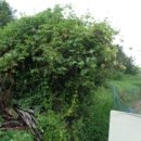 완산-111 이미지