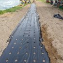 태평정미소 이미지