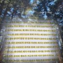 삼국지 | 최소한의 삼국지 책 후기 최태성 | 유비처럼 포기하지 않았던 슈퍼맨 이장님 추천 리뷰 핵심 요약