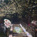 꽃보라동산 이미지