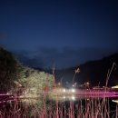 틀모산 도시숲 이미지