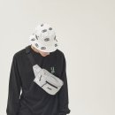 코디래빗