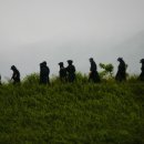 안태초등학교 이미지