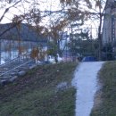 수영강 세월교 이미지