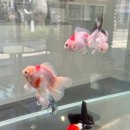 중구청역 1번 출구 옆 이미지