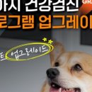 스무살의꿈 동물병원 이미지