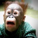 우리엄마약국 이미지