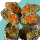 선장의 식탁 이미지