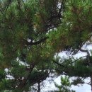 범방산 10월등산 이미지