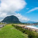 사계어촌체험휴양마을 이미지