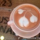 팥이슈 이미지