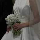 뮤즈 | 뮤즈라이트본식후기/아이폰본식스냅/완전강추/다들 뮤즈라이트 하세영🖤🤍🩶