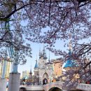 엠제이픽 이미지