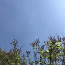 대구 성인 영어회화 더미라클, 누구나 환영!